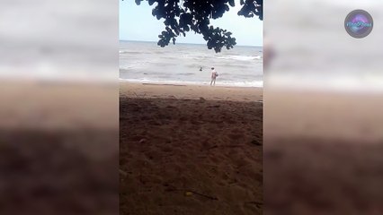 Tourist Filmed Drowning Dog On Beach In Pattaya