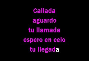 Camilo Sesto y Angela Carrasco - Callados (Karaoke con voz guia)