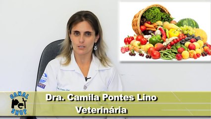 Posso dar legumes e verduras para o meu Cão?