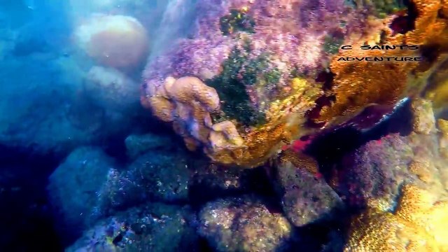 Praias Santa Catarina - Seja bem vindo!