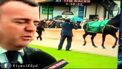 At güzel hayvandır ama siz yine de dikkatlı olun