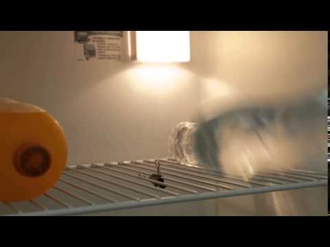 Fika Dika - Como apoiar garrafas na geladeira