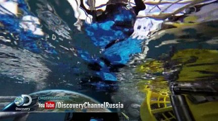 05 Неделя акул Возвращение на остров челюстей