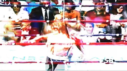 5 Times Roy Jones Jr Looked Invincible Pt2-JKBXRdkclt8
