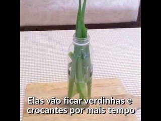 Fika Dika - Como conservar cebolinha verde por mais tempo