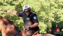 Horse Ride Gone Wrong - Just For Laughs Gags