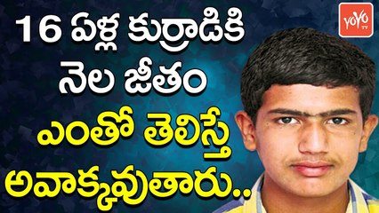 16 ఏళ్ల కుర్రాడికి నెల జీతం ఎంతో తెలుసా ? | 16 Year Old Student Bags his Dream Job at Google | YOYO TV CHANNEL