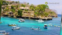 Leher turis di Bali tertancap Ikan Todak ketika akan diving di Nusa Lembongan - TomoNews