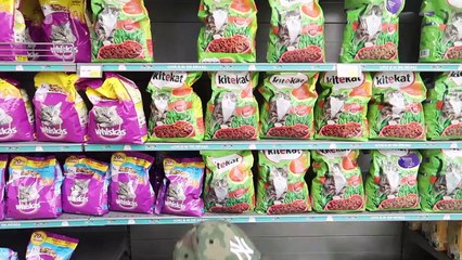 تحدي من أسرع واحد ينطرد من السوبر ماركت (الأمن جا لايفوتكم وش الي صار ) !