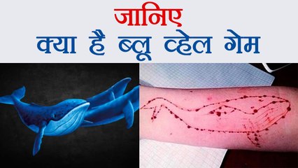 Blue Whale Game देता है Suicide Challenge, जानिए क्या है गेम । वनइंडिया हिंदी
