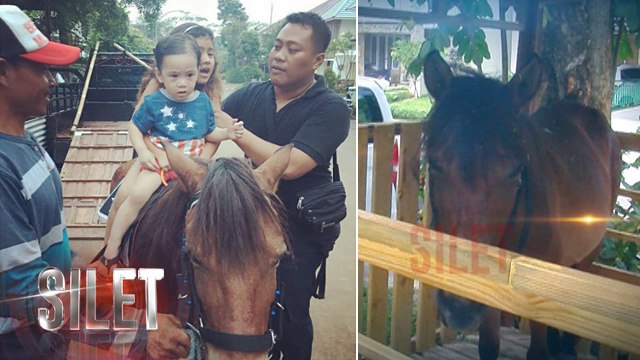 Ulang Tahun, Rieta Amilia Hadiahi Rafathar Kuda Poni - Silet 02 Agustus 2017