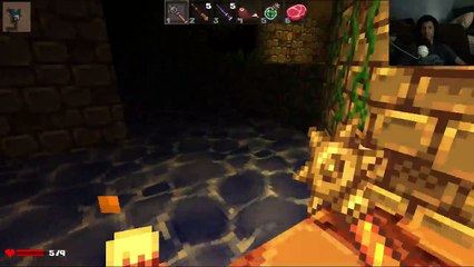Delving Deep with Delver