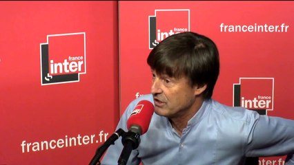 Nicolas Hulot : "Je ne veux pas me contenter simplement de fermer Fessenheim"