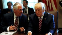 Tillerson comfortable working with Trump: 'We have a good relationship'