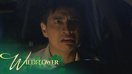 Wildflower: Ivy is all I need | EP 118