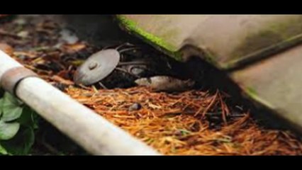 Αποφραξεις παιανια – 2106665999 – Apofraχeis paiania