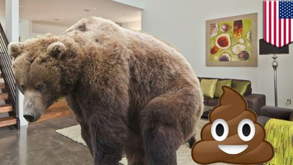 【閲覧注意】クマがリビングに臭～い置き土産　米