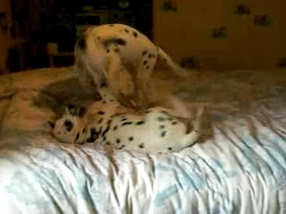Pearl et Cyana