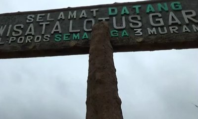 Menikmati Wisata Hutan Rimba di Lotus Garden