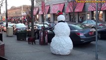 Scary Snowman Puppy Dog Scare Prank Compilation