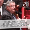 Le sénateur MoDem Michel Mercier épinglé pour des emplois familiaux