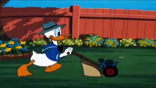 Chip and Dale - Donald Duck Cartoons Full Ep.s 2017