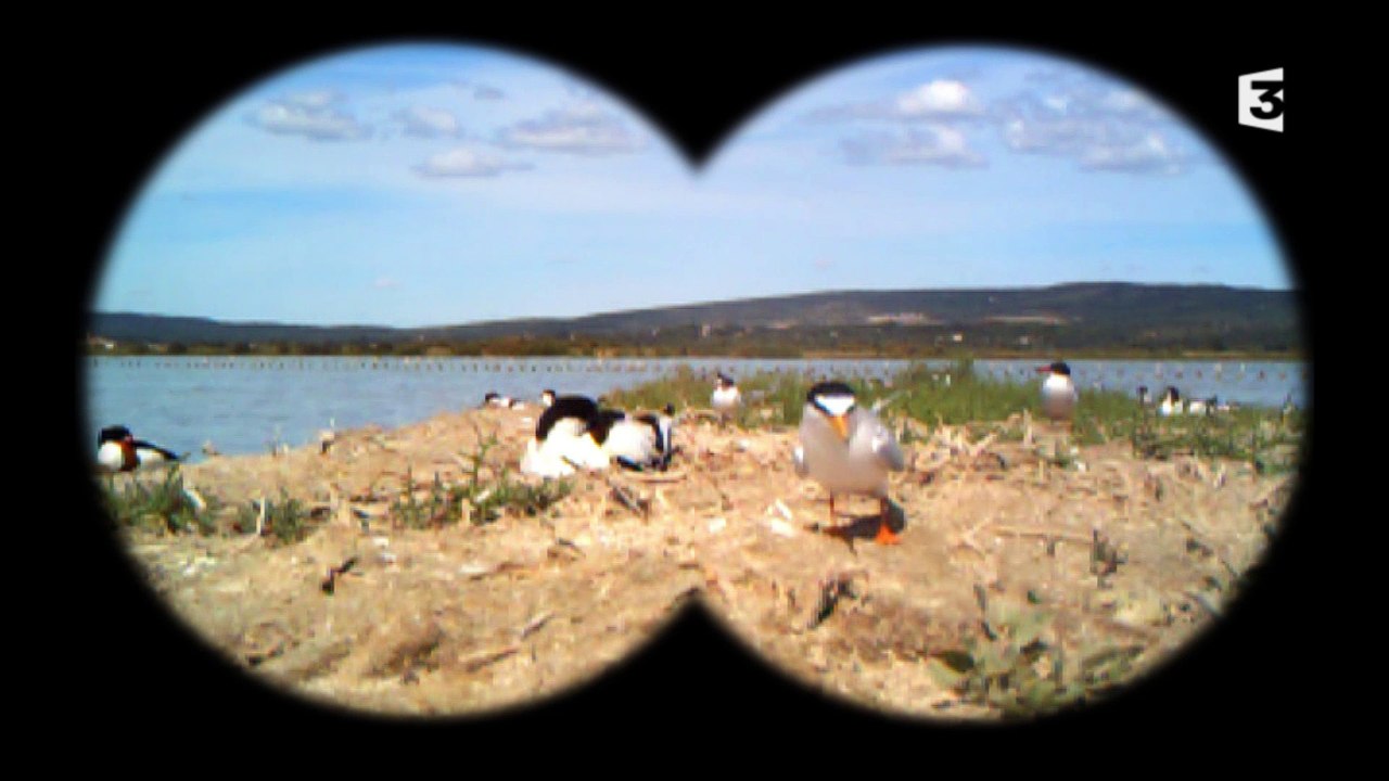 110-211 Des ilots dans les salins