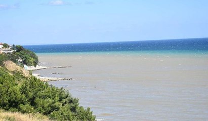 Marmara Denizi kıyıları çamurlu suyla kaplandı