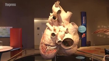 Le plus gros coeur du monde exposé à Toronto