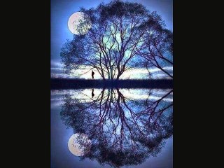 KLAUS SCHULZE - DREAMS - Constellation Andromeda  (Bonus Track)