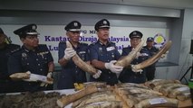 Malasia intercepta contrabando de marfil y piel de pangolín africanos