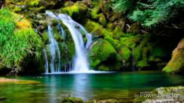 Fact of Life By Sunny Mishra Part 31