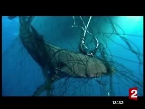 Pesticides et autres désastres