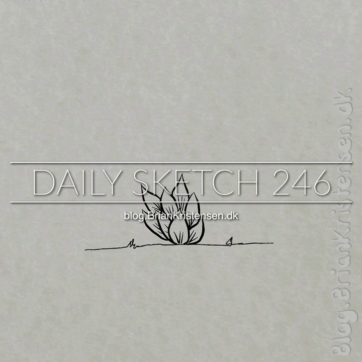 Drawing a simple Bush