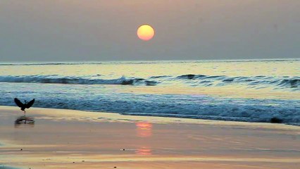 Waves at sunet HD slow motion