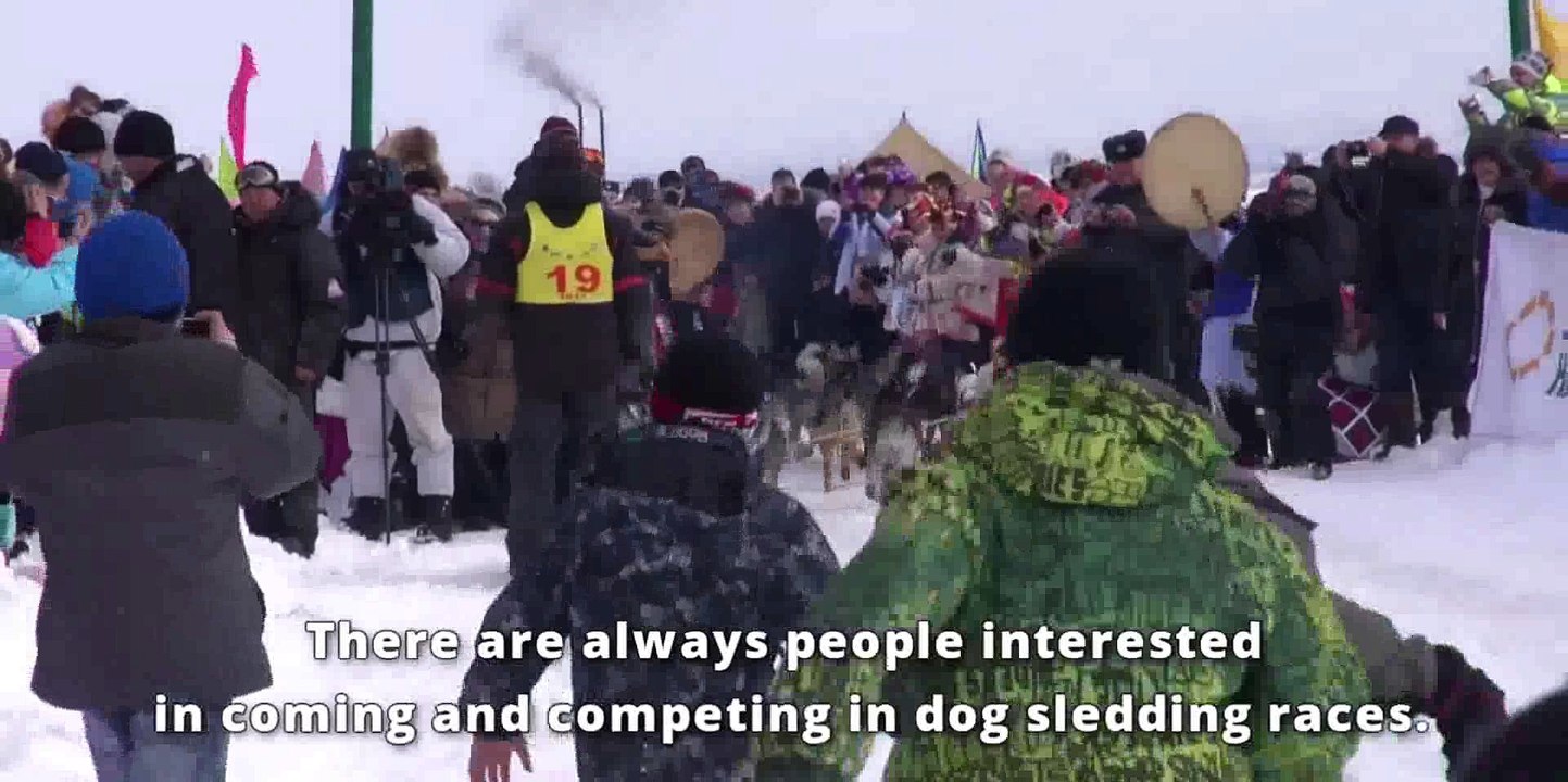 Heart, soul and huskies race across Siberia