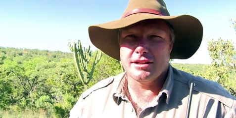 Finding rare baby rhino, on safari, in South Africa