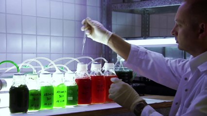 The Biblical Plagues - 1 of 3 - Duel On The Nile - 1080p HD