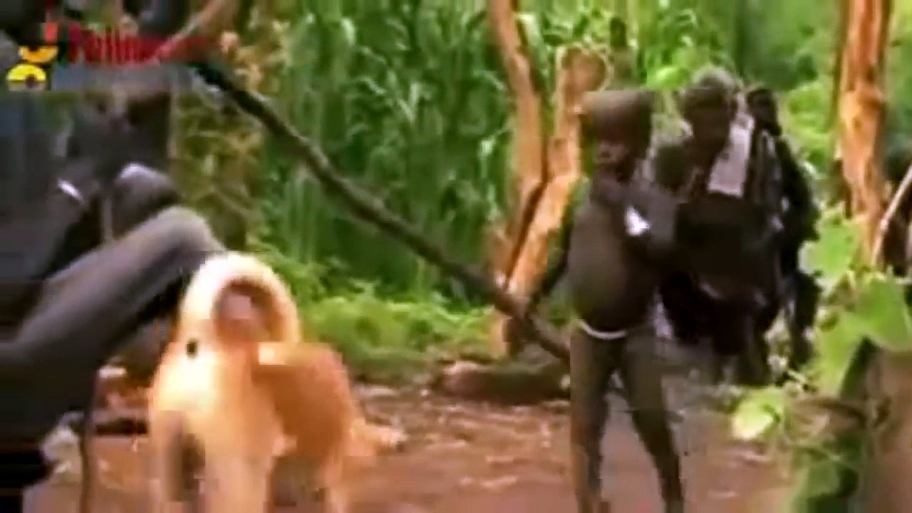 Isolated tribes of the Amazon Documentary 2017