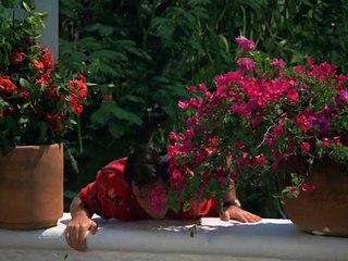 Remington Steele S05E02 The Steele That Wouldn't Die (2)