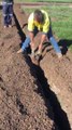 Sauvetage d'un kangourou coincé dans la tranchée d'un chantier par un ouvrier en Australie !