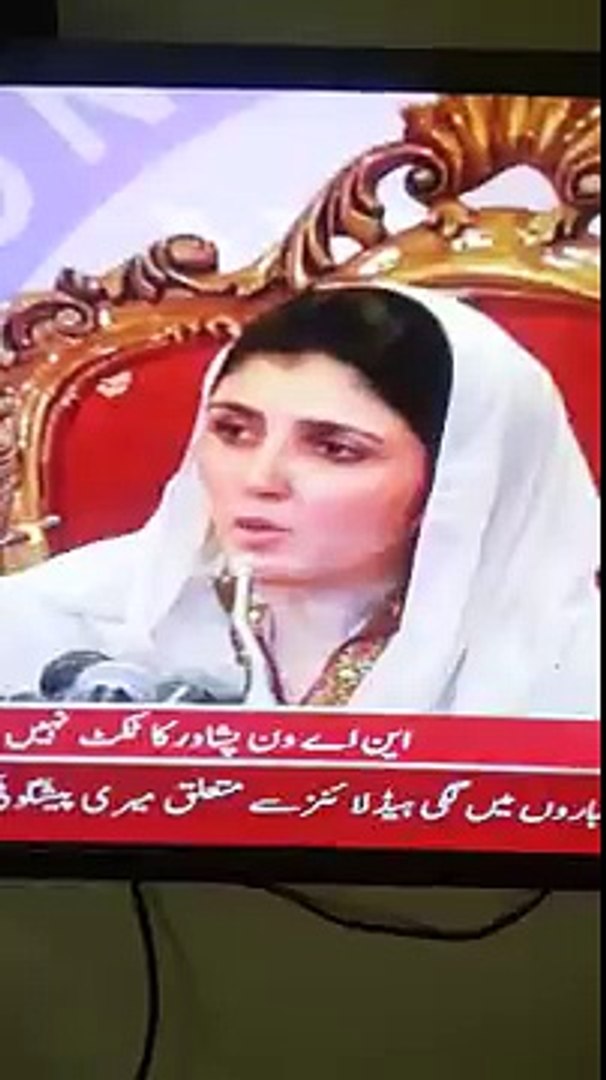 Ayesha Gulalai leaked Video with P.M.L N Patry - video Dailymotion