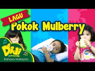 Pokok Mulberry Didi & Friends ft Bella, Mika, Noah