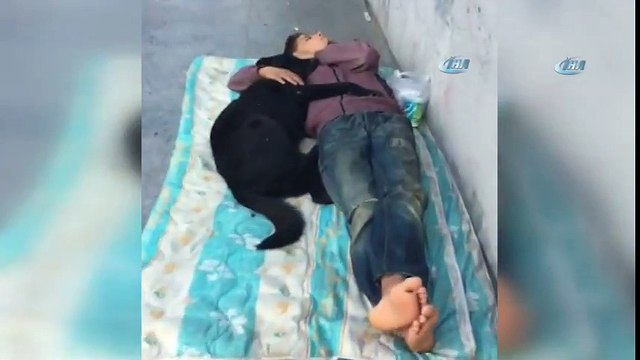Köpeğe Sarılarak Uyuyan Çocuk Yürekleri Burktu
