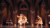 St Petersburg Ballet Theatre presents The Nutcracker & Swan Lake!