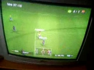 Bug pes 2008