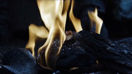 Game of Thrones 7x02 - Arya and Nymeria Reunite