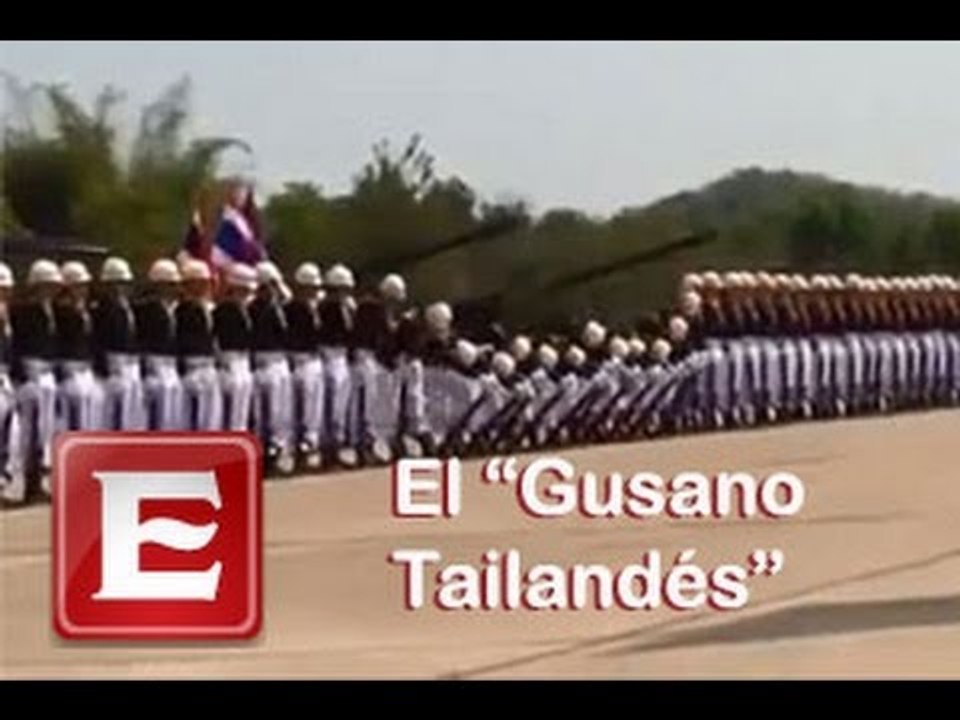 El "Gusano tailandés"
