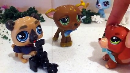 LPS : The Arctic Biome (RE-UPLOADED)
