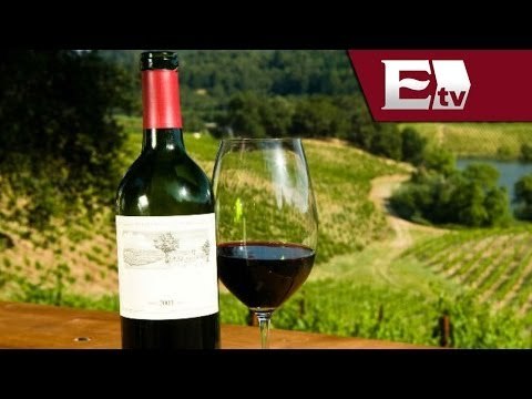 Vinos mexicanos / Visión Turística con Óscar Cadena